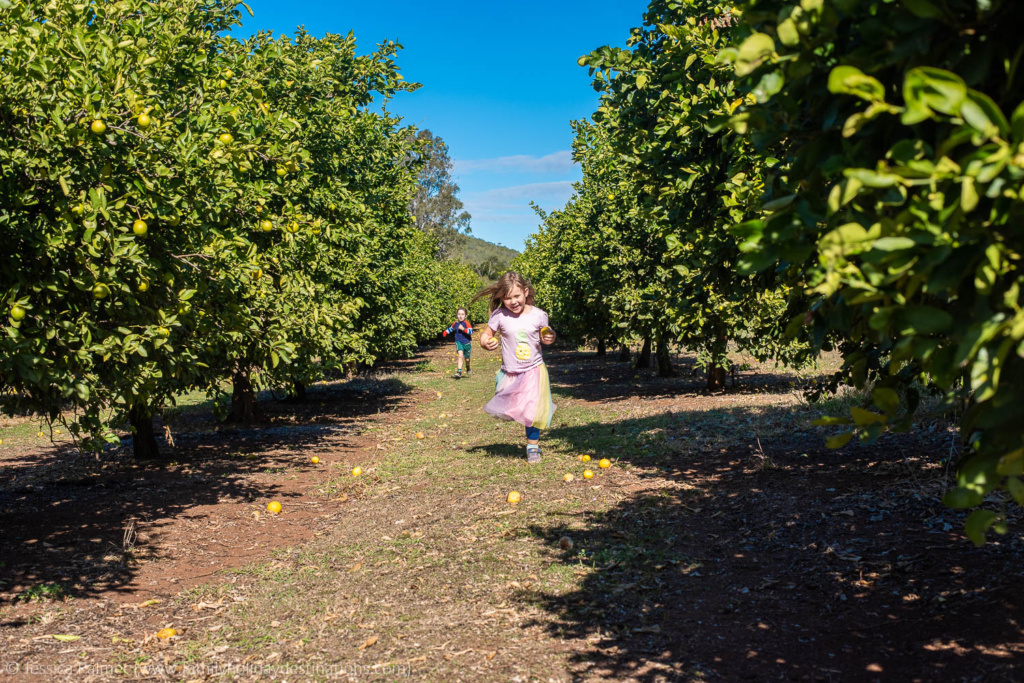 watercress creek olives and limes