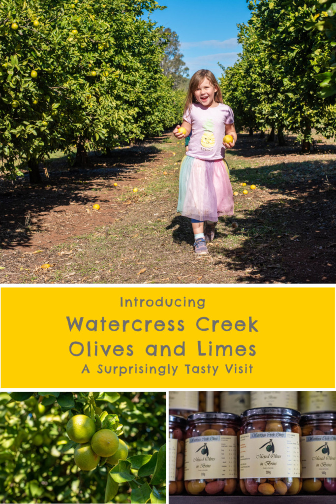watercress creek olives and limes
