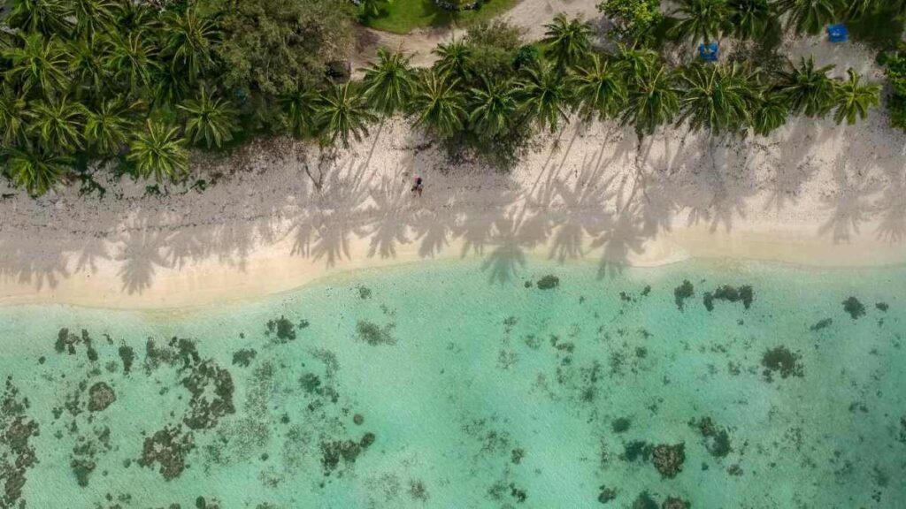 things to do in rarotonga