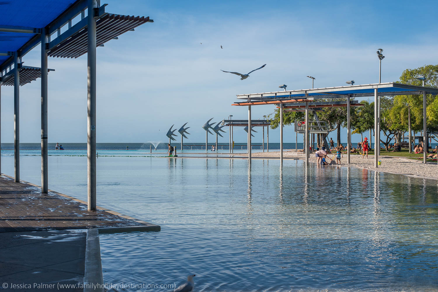 things to do in cairns