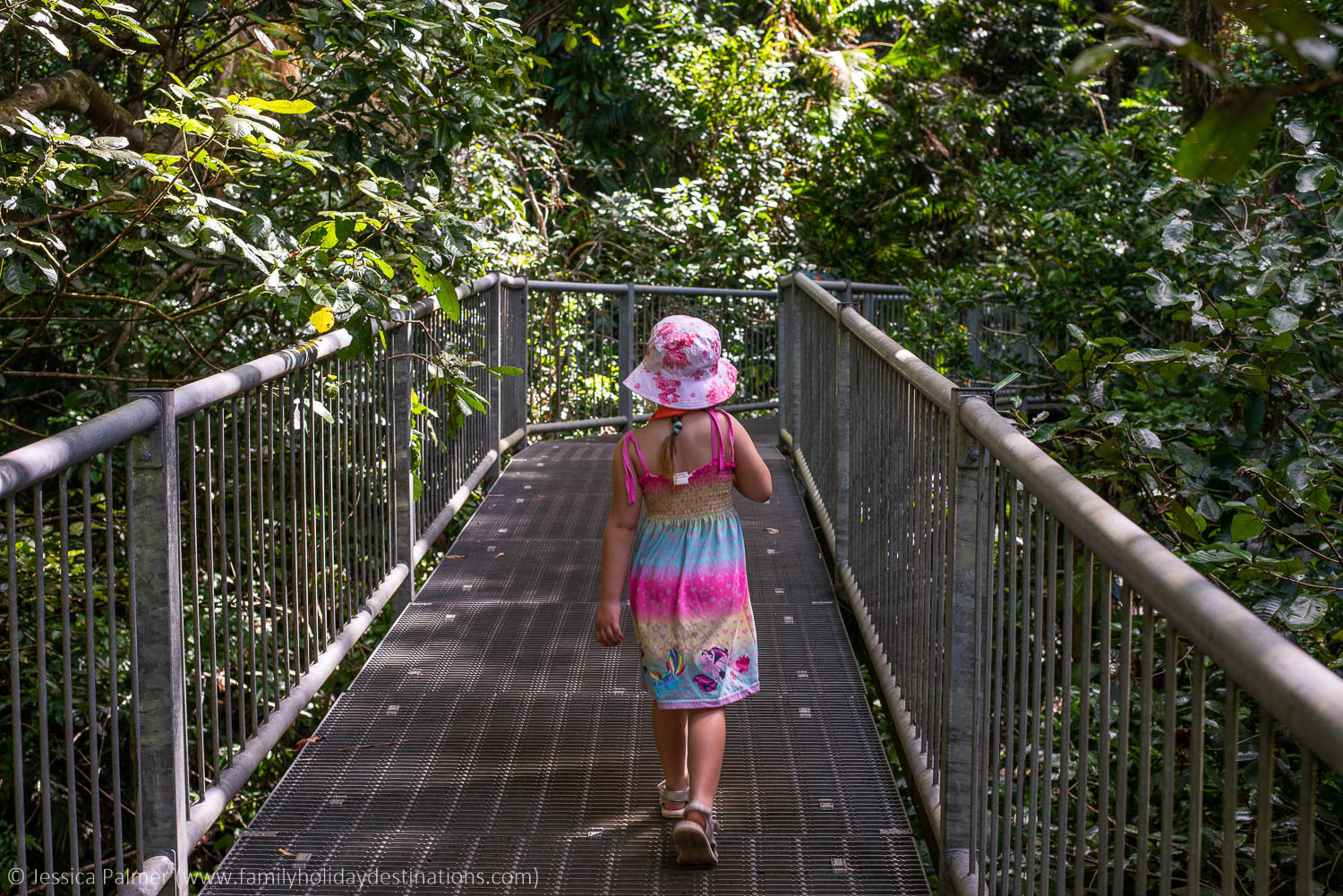 things to do in Cairns