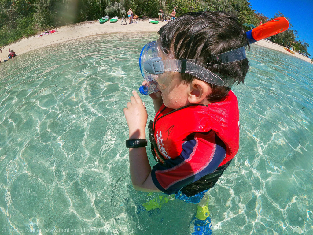 ferry to green island