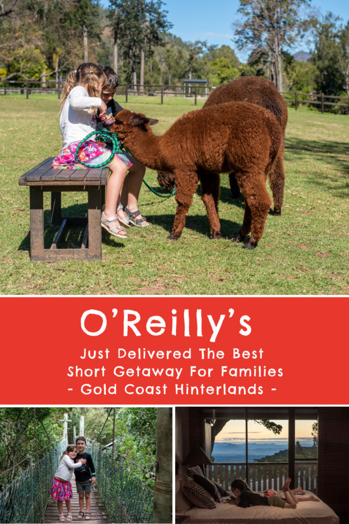 o'reilly's