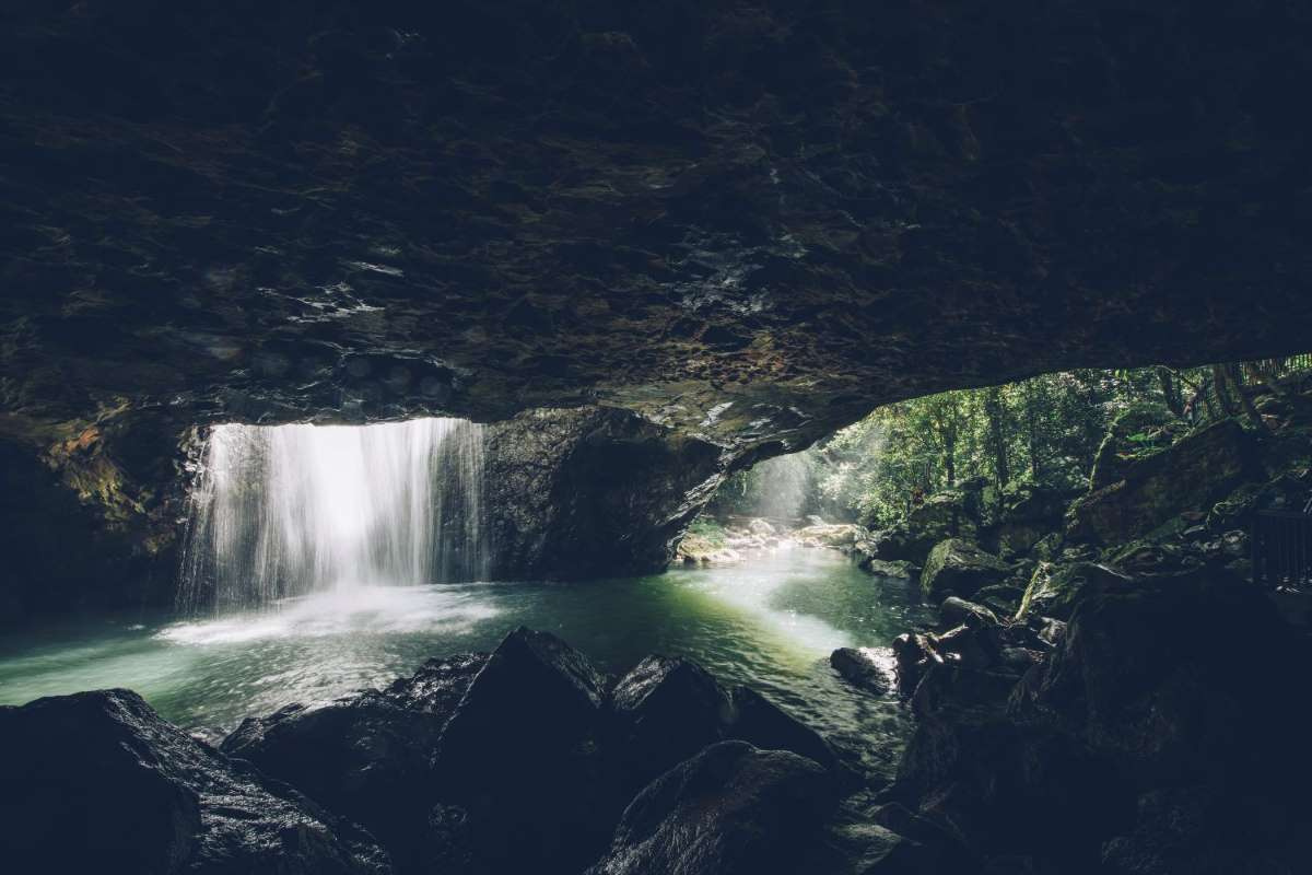 springbrook national park walks