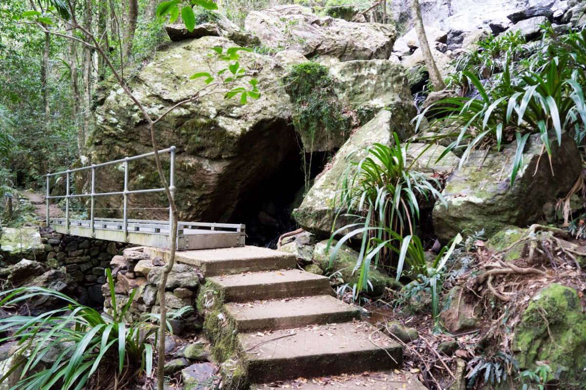 springbrook national park walks