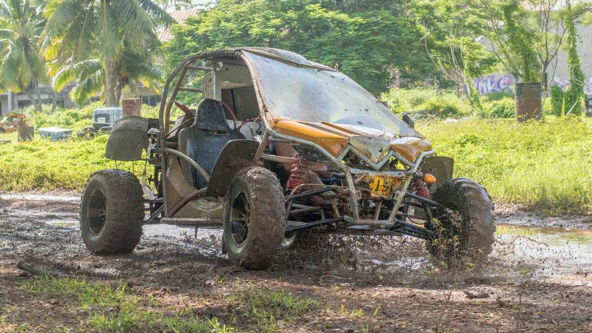 Mud, Food, Waterfalls and Rugby: Rarotonga at Its Best
