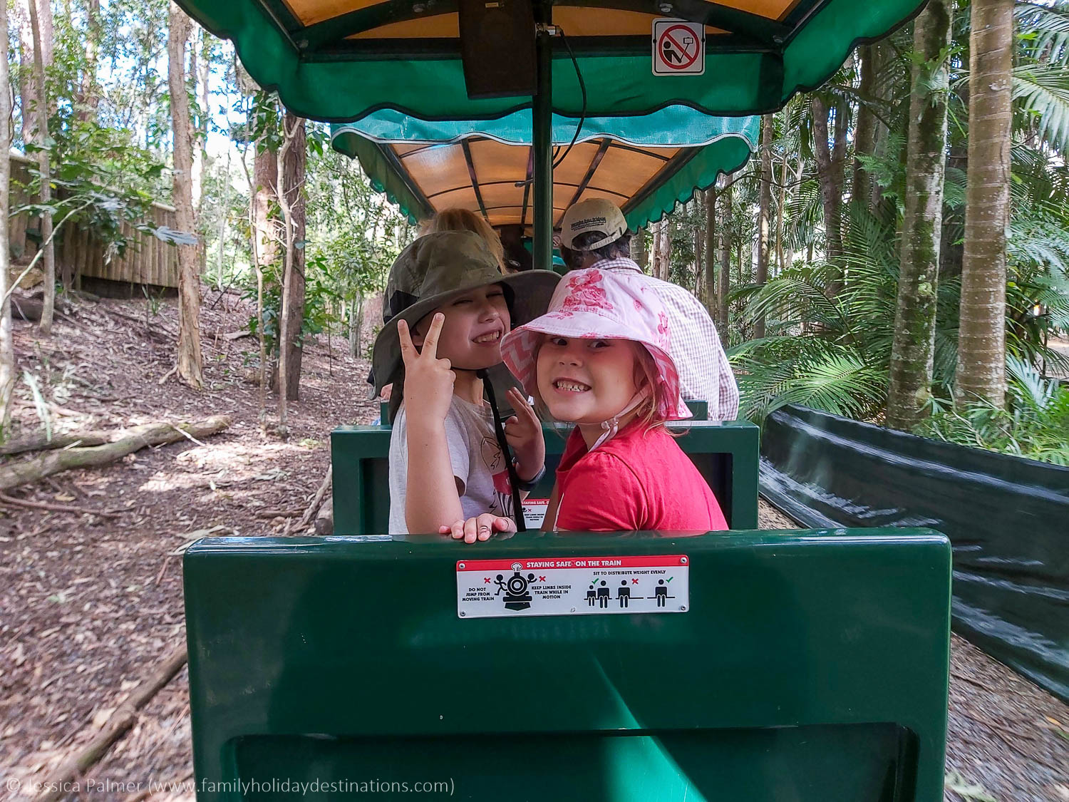 currumbin wildlife sanctuary
