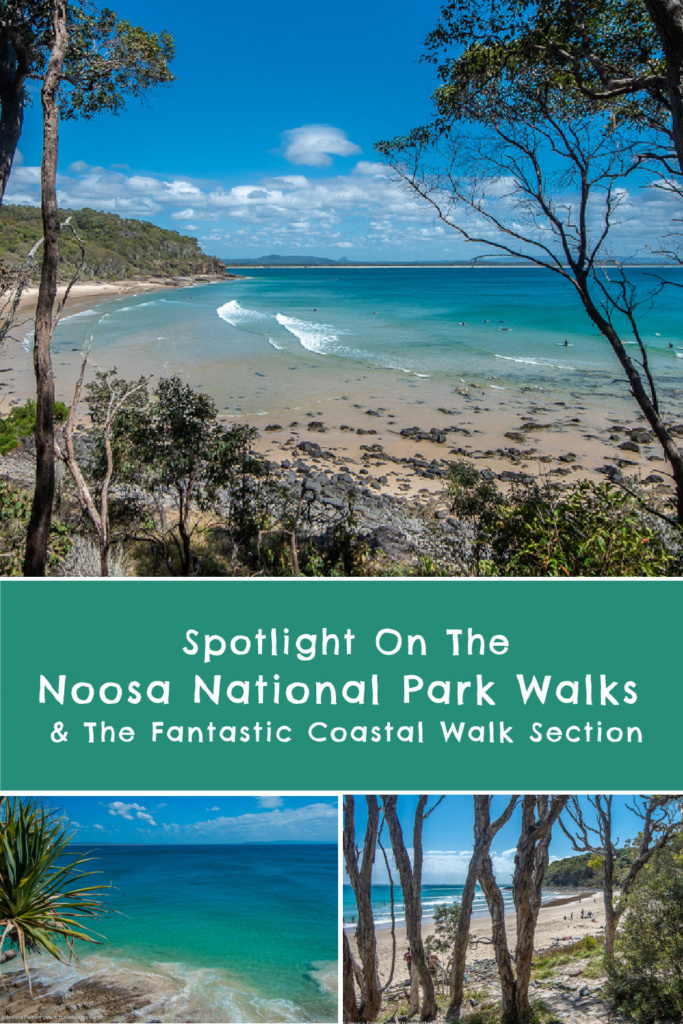 noosa national park walks