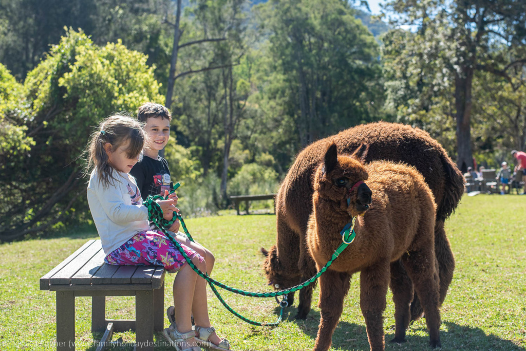 gold coast with kids