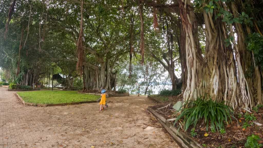 things to do magnetic island