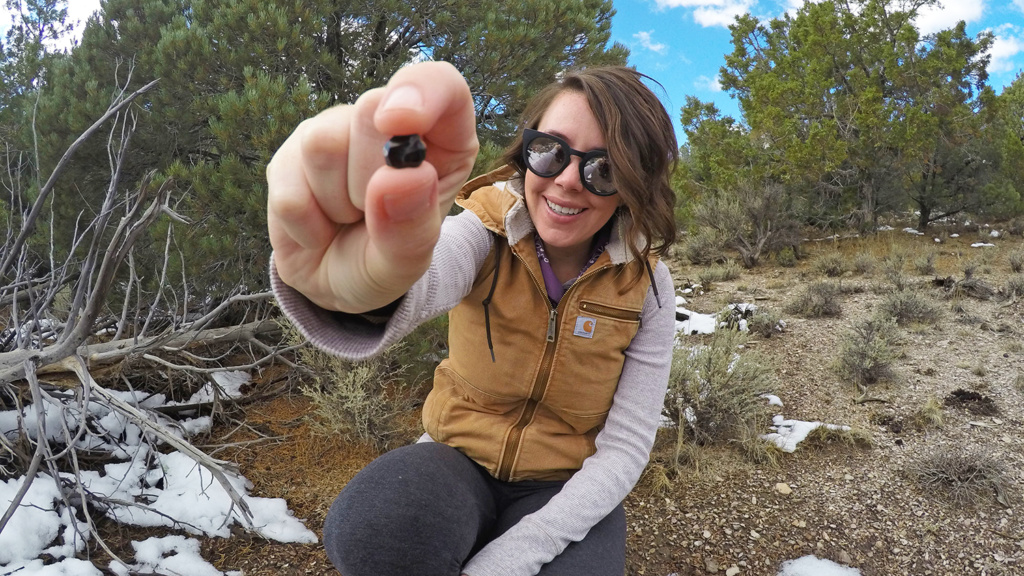 rockhounding nevada