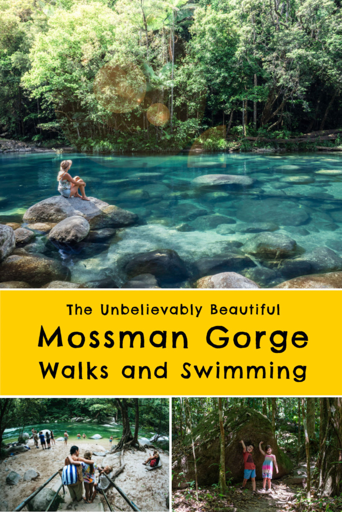 mossman gorge walks mossman gorge swimming