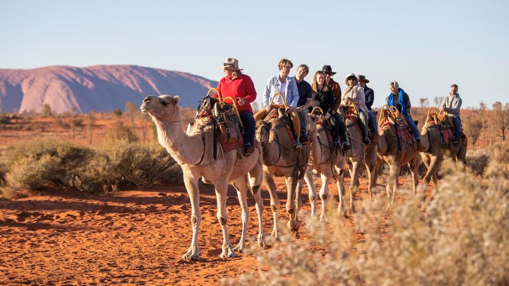 travel experiences market