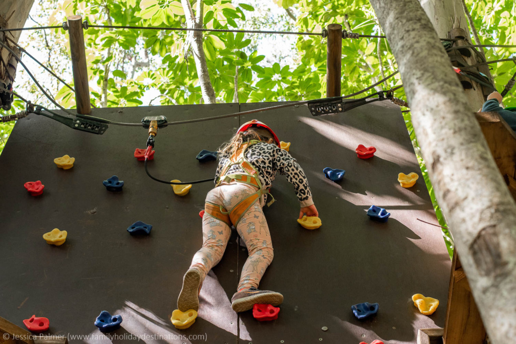 thunderbird park camping