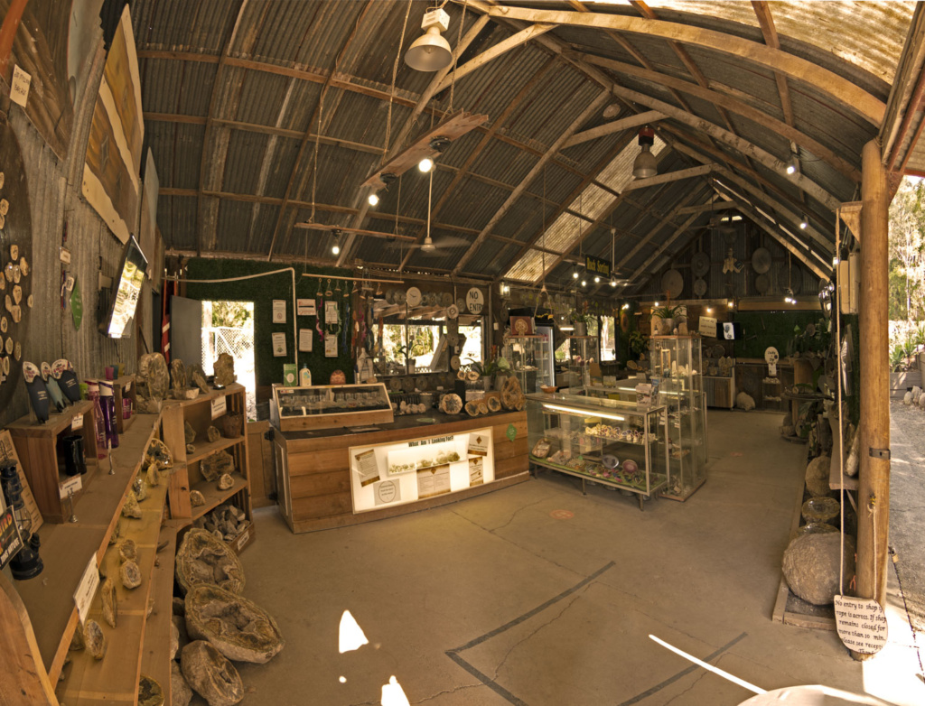 thunderbird park camping and activities