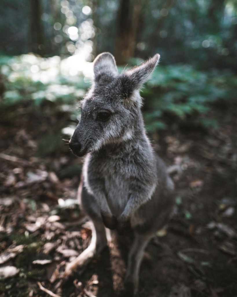 best national parks Australia
