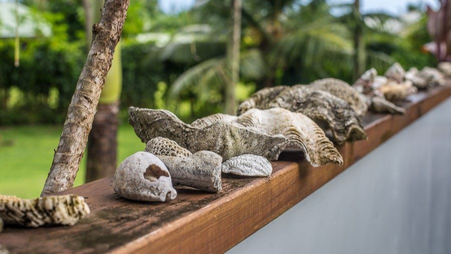 family accommodation rarotonga