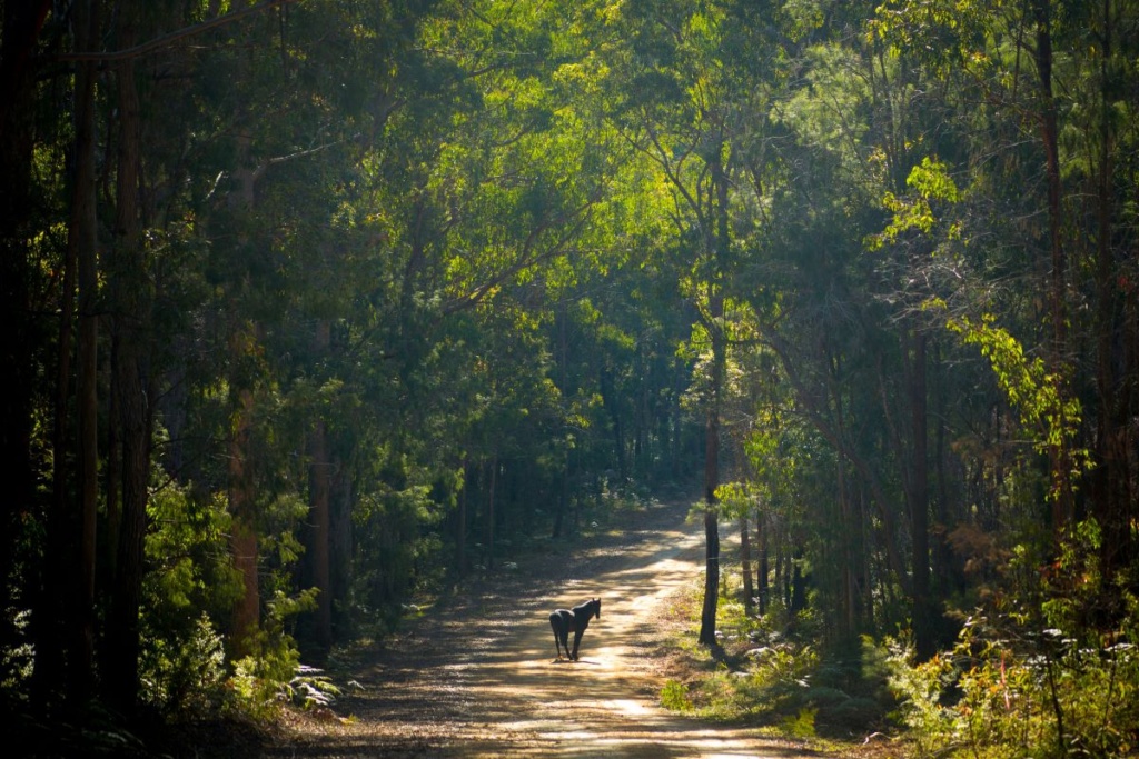 best national parks Australia