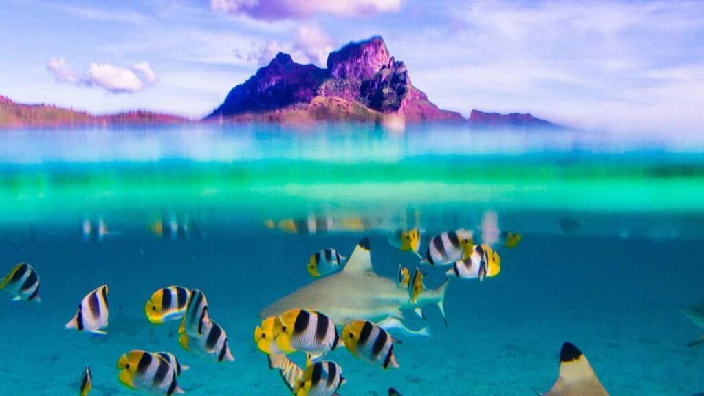 things to do Bora Bora