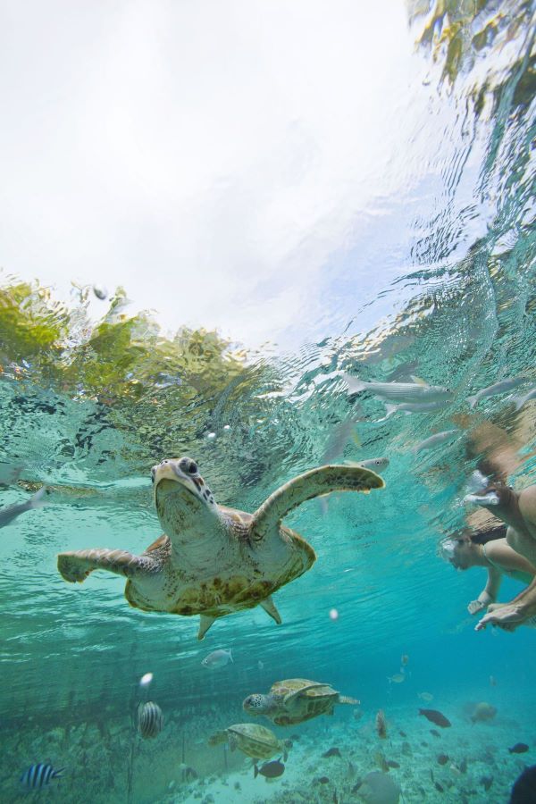 things to do on bora bora