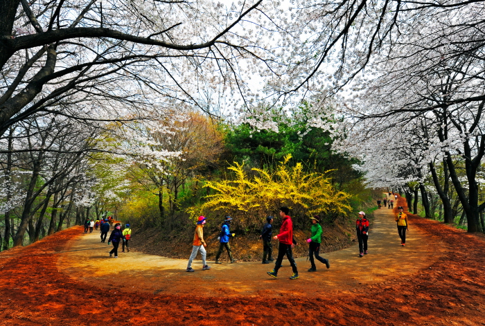south Korea outdoor attractions