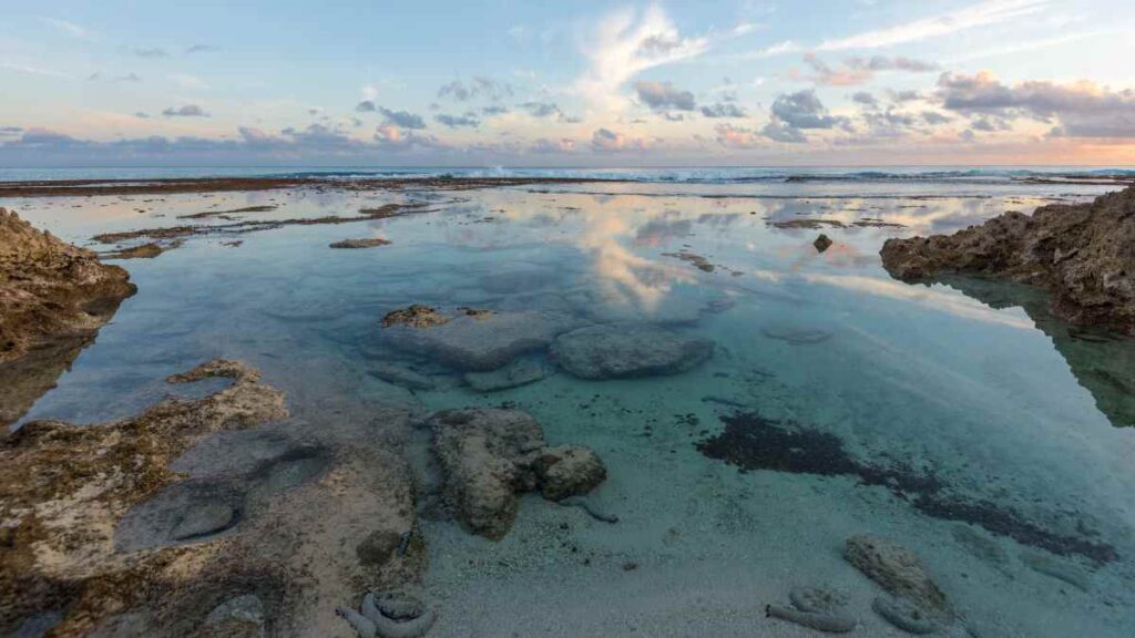 things to do in Cook Islands