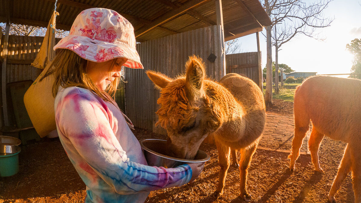 Spotlight on Bunya Red Farm For a Fantastic Camping Getaway