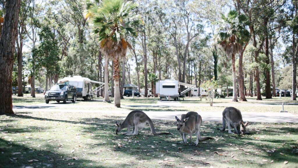 best NRMA holiday parks NSW