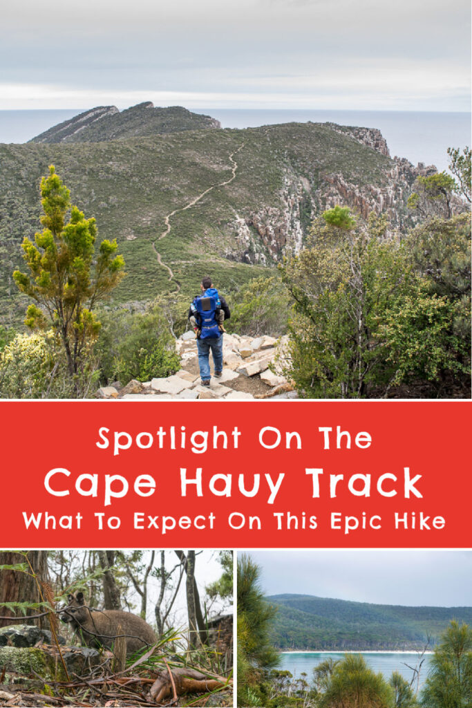 cape hauy track