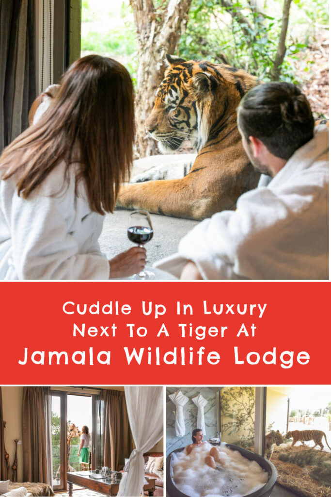While an African Safari may not be on the cards, an Australian Safari to sleep where the wild things are at Jamala Wildlife Lodge is!