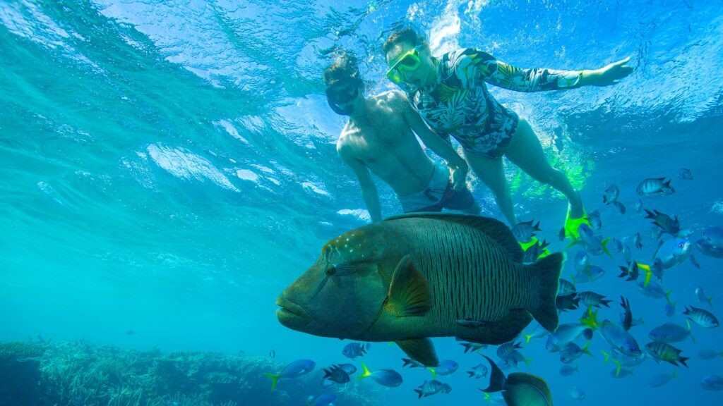 things to do in Airlie Beach