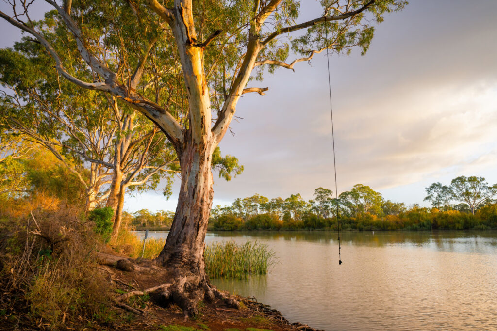 free camp south australia