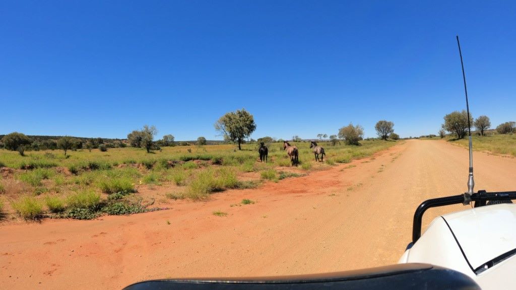 Mereenie Loop Red Centre Way
