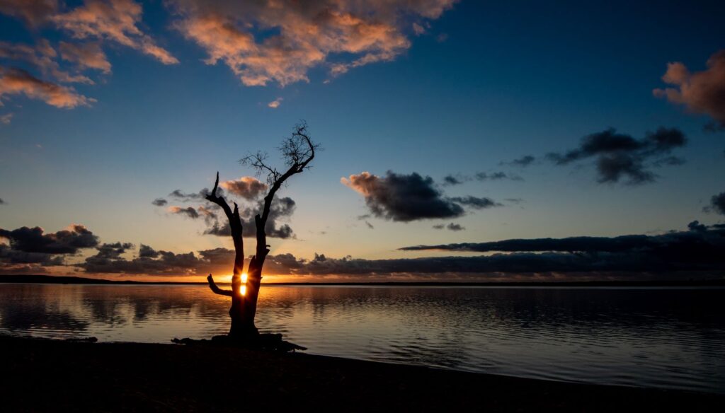 Boreen Point campground
