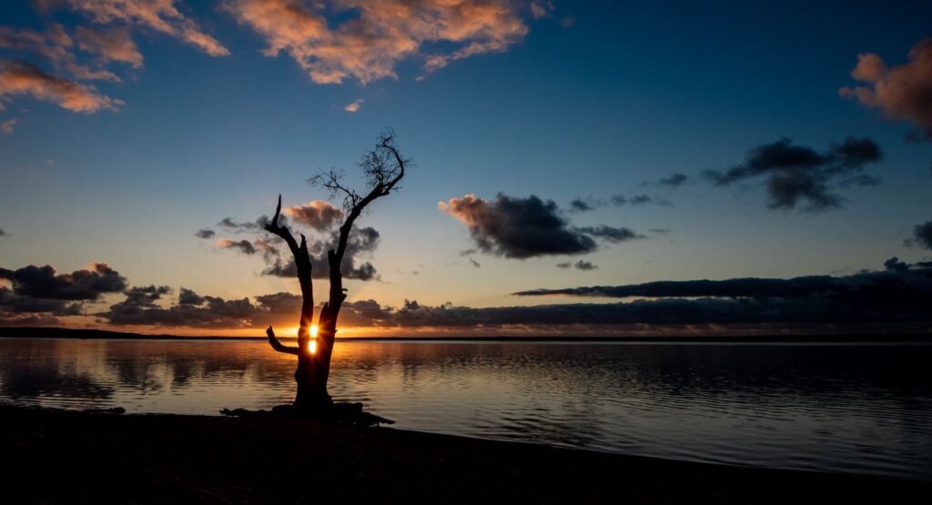 Boreen Point campground