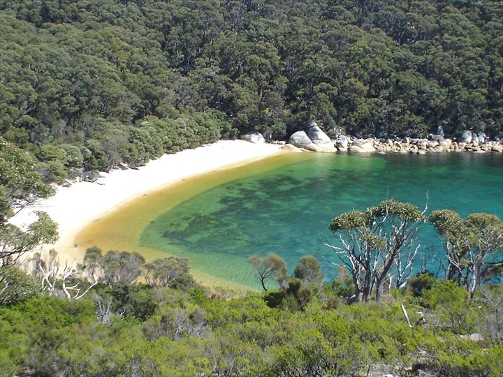 wilsons prom things to do