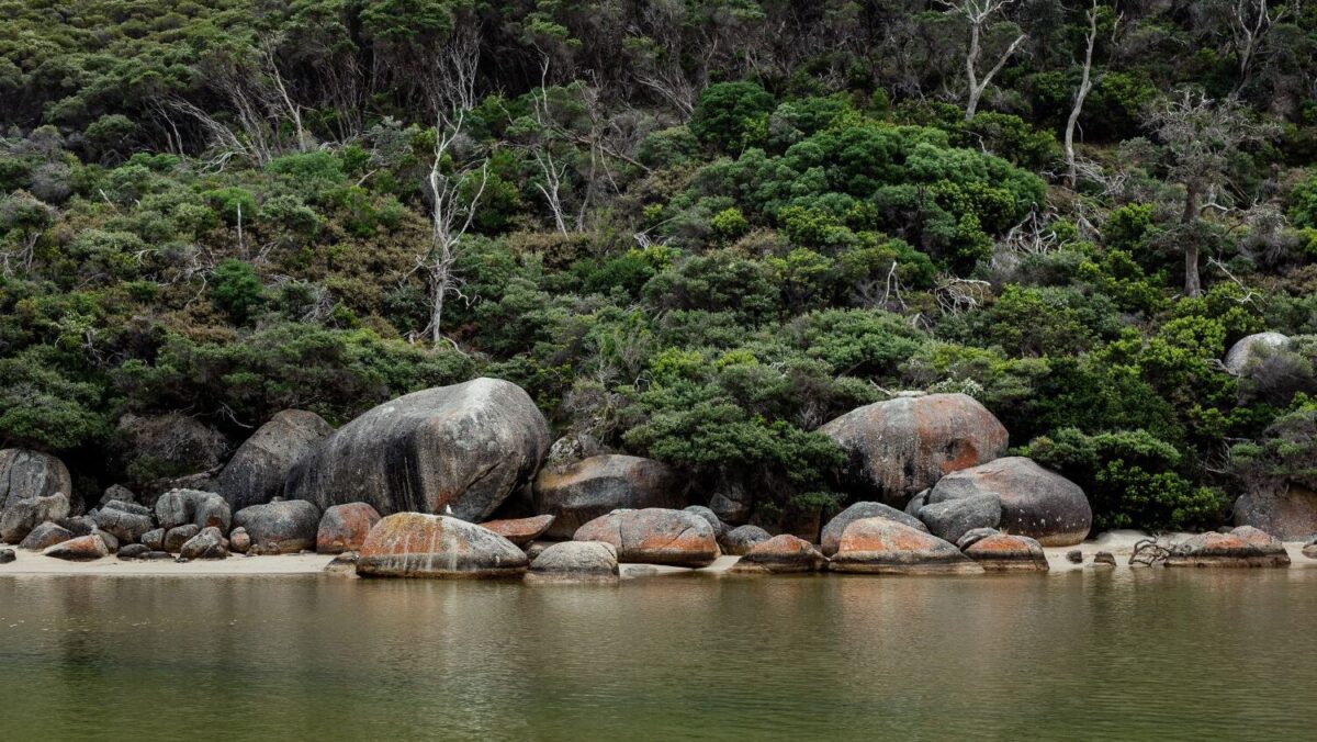 12 Best Things to Do at Wilsons Prom: Beaches, Walks & Wildlife