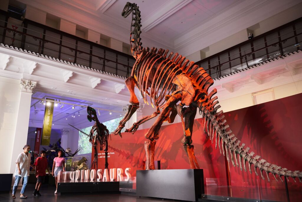 NSW term dates, NSW public holidays & school holidays NSW