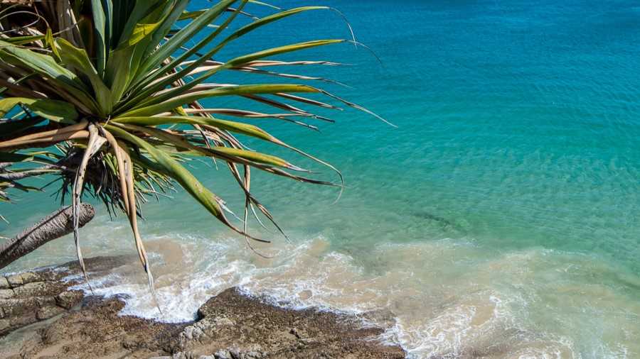 beaches in Noosa