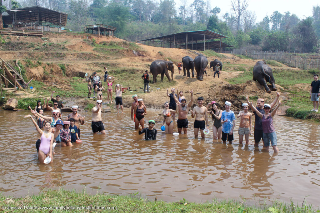 jungle elephant sanctuary chiang mai