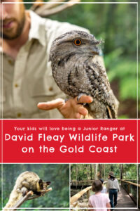 david fleay wildlife park