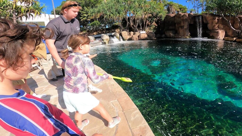 JW Marriott Gold Coast review