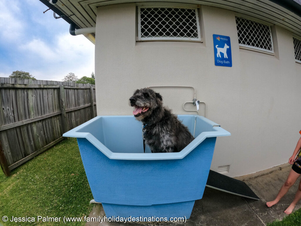 dog friendly caravan park Ballina