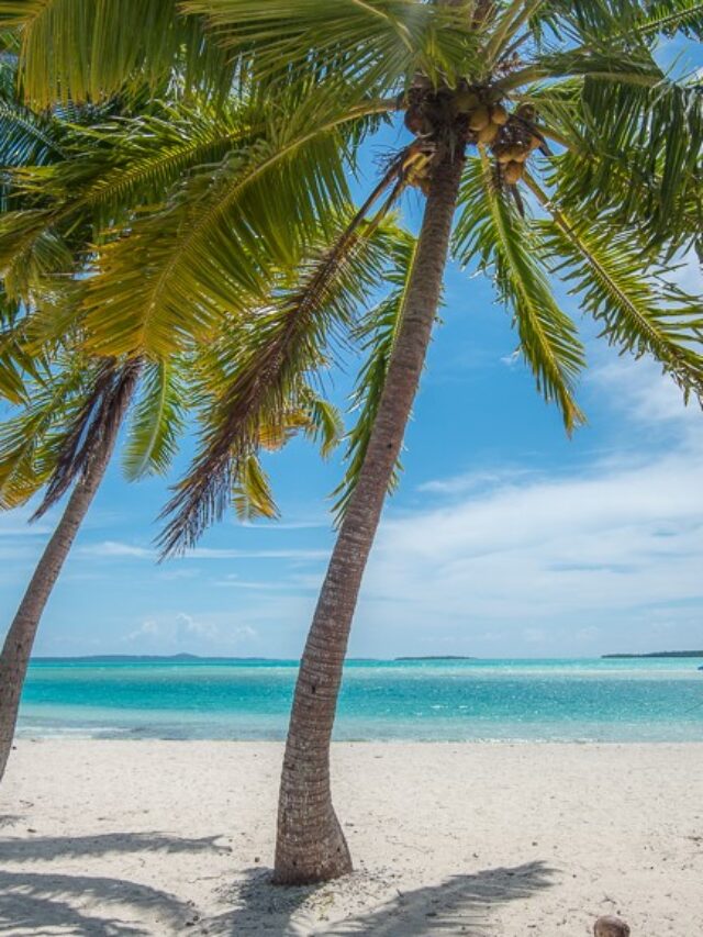 Family Holidays in the South Pacific
