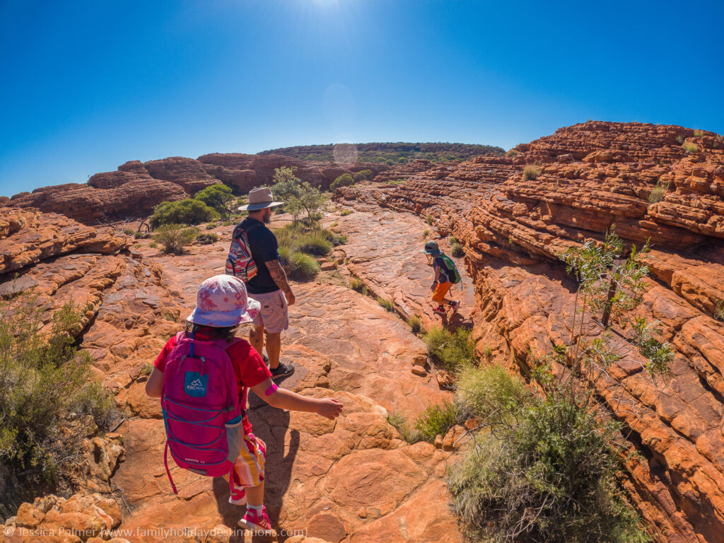 kings canyon rim walk nt