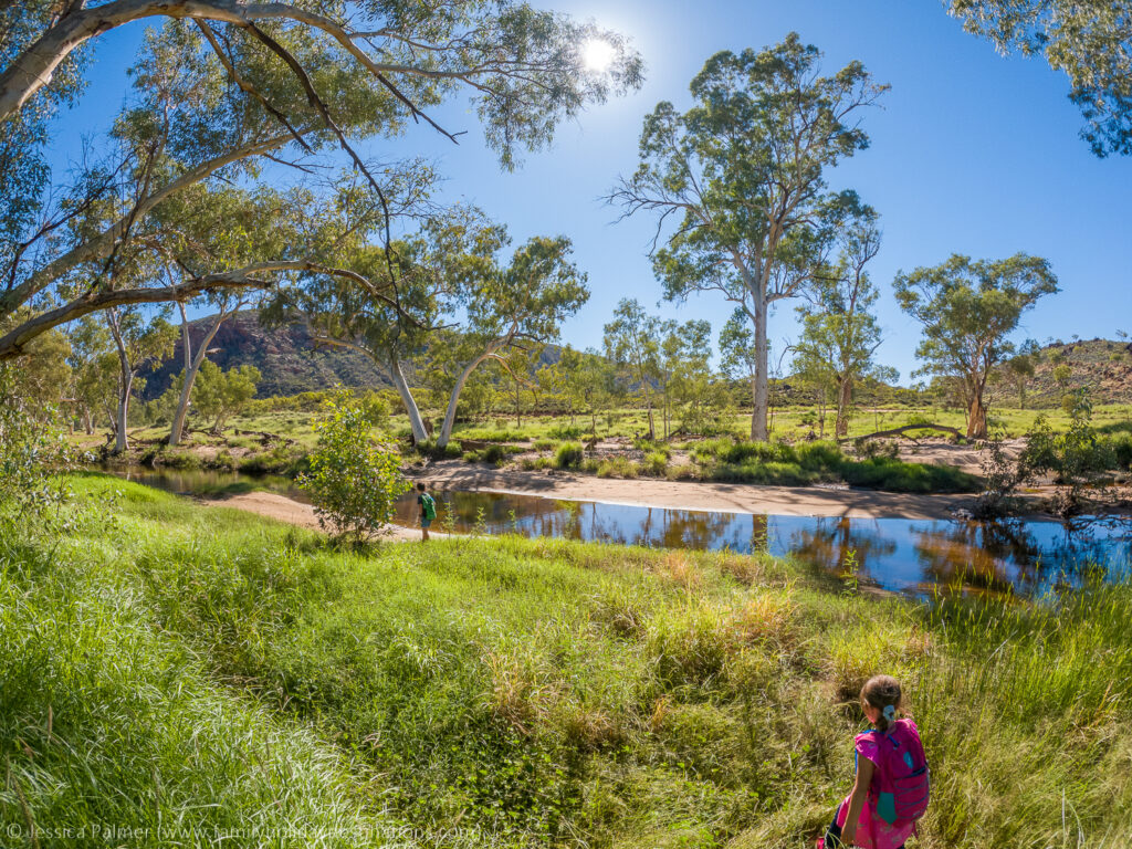 Ellery Creek Big Hole