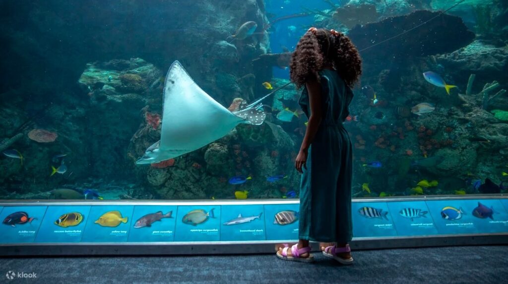 thing to do in Anaheim with kids