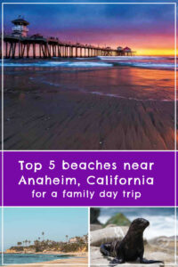 Discover the best beaches near Anaheim for a family day trip! From Huntington to Laguna Beach, the perfect coastal escape is just a short drive away.