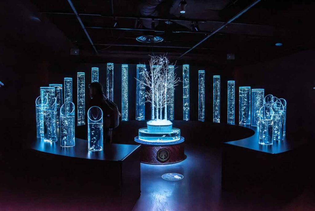 things to do in Tokyo with kids