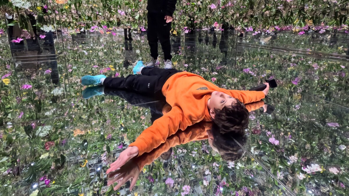 teamLab Borderless vs Planets with Kids: Which Tokyo Digital Art Museum Is Better for Families?